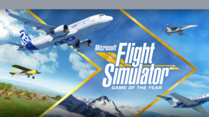 Microsoft Flight Simulator